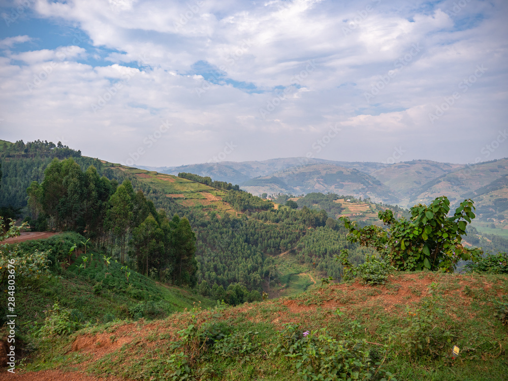 Bwindi Impenetrable Forest National Park, Uganda Bwindi Impenetrable Forest National Park, Uganda