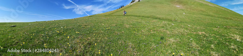 paysage de montagne - alpage du charmant som en chartreuse
