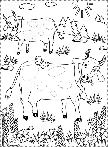 Coloring page with spotted milk cows grazing on the pasture