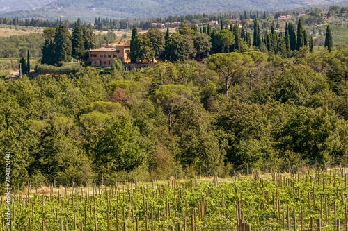 Typical landscape of Chianti classico in the municipality of Greve  Tuscany  Italy