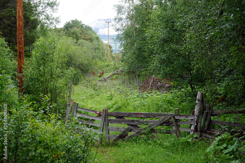 Wooden gate