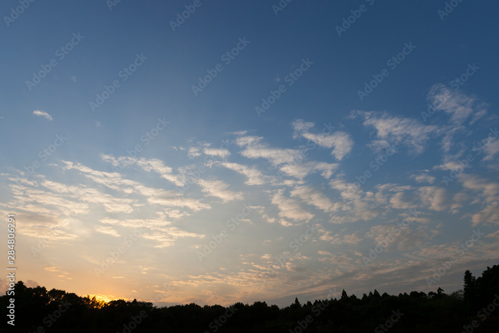 Fototapeta premium 空