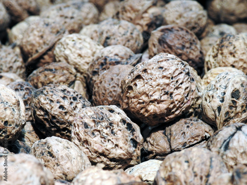 Dried fruits. Walnut. Great background. Food. Dried fruits. Walnut. Great background. Food.