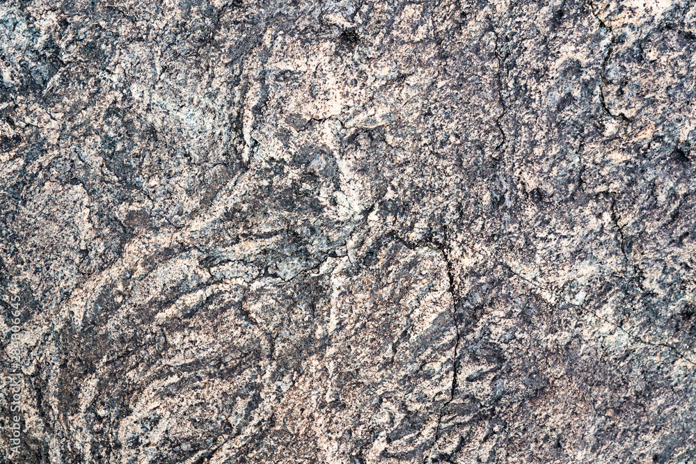 The texture of the stone overgrown with moss. Background image of a boulder The texture of the stone overgrown with moss. Background image of a boulder