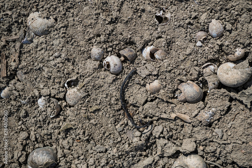 Texture of lifeless river dried river bed