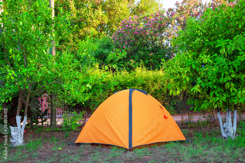 Orange tent among orange camping trees