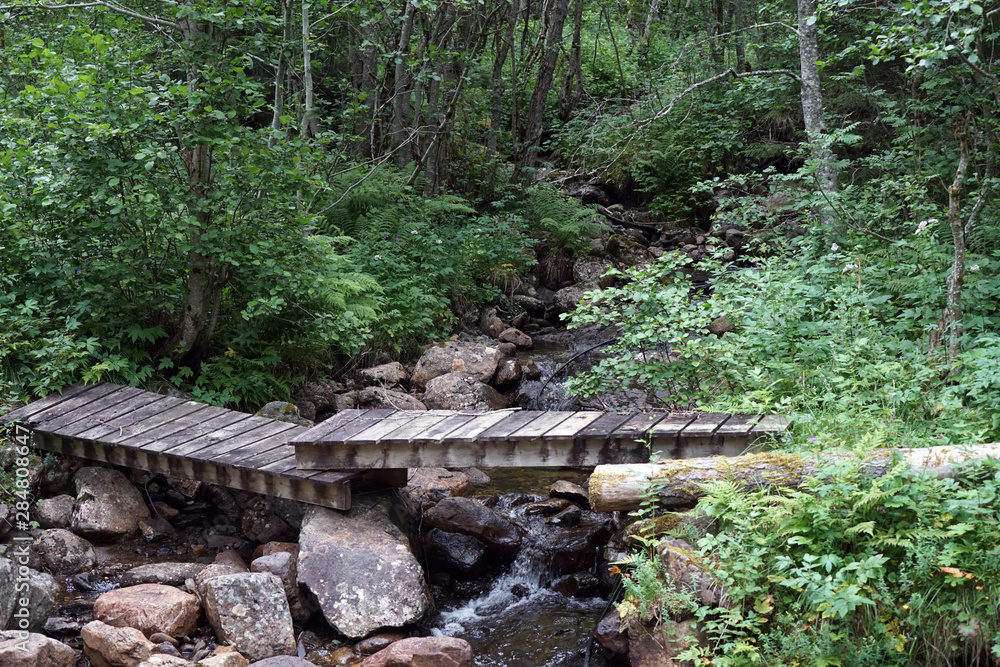 Fototapeta premium Wooden bridge
