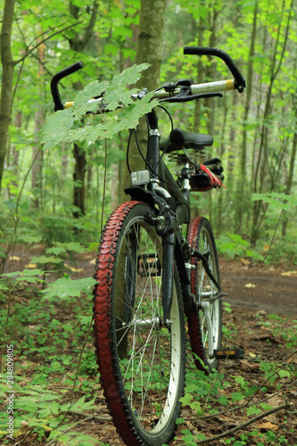 bicycle in the forest wheel in the foreground