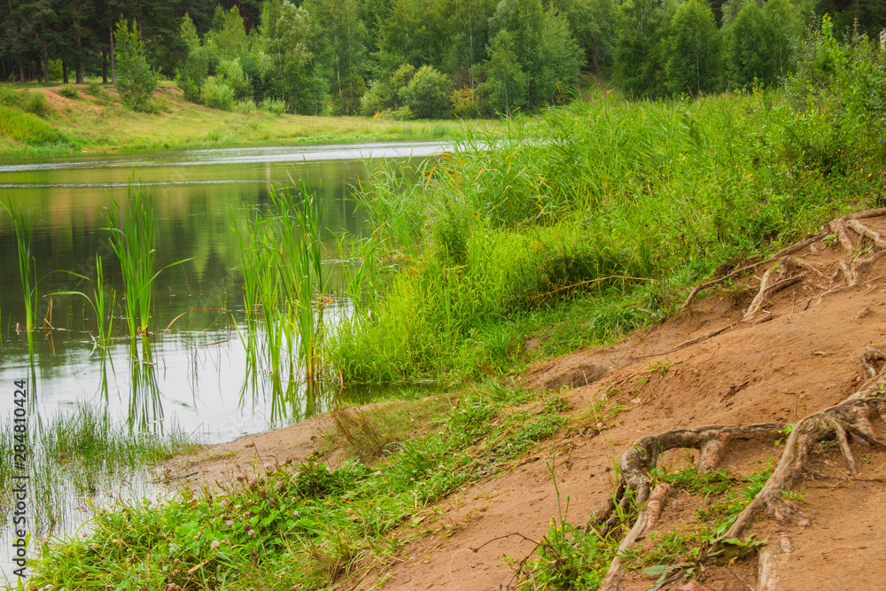 summer lake against the backdrop of a beautiful forest summer lake against the backdrop of a beautiful forest