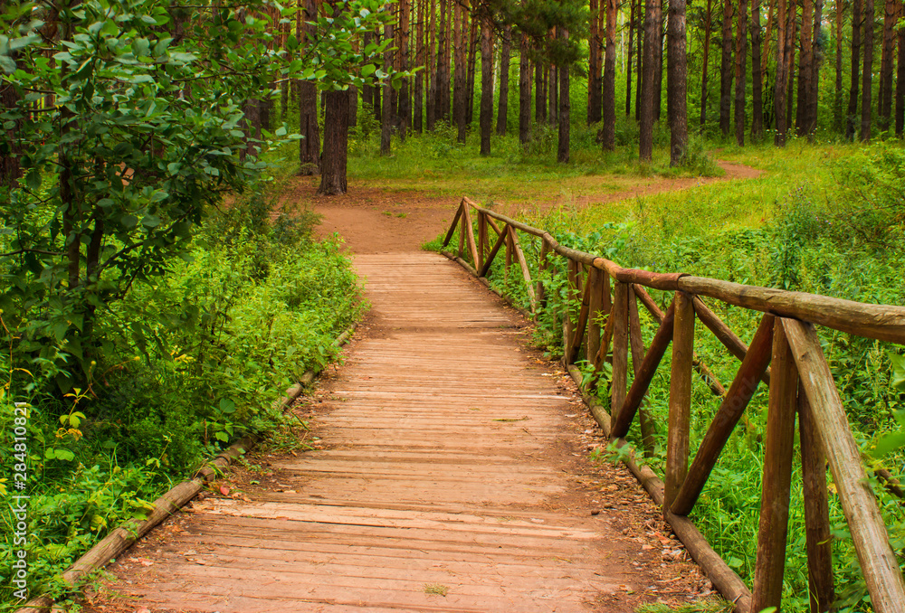 bridge in a beautiful forest over a spring