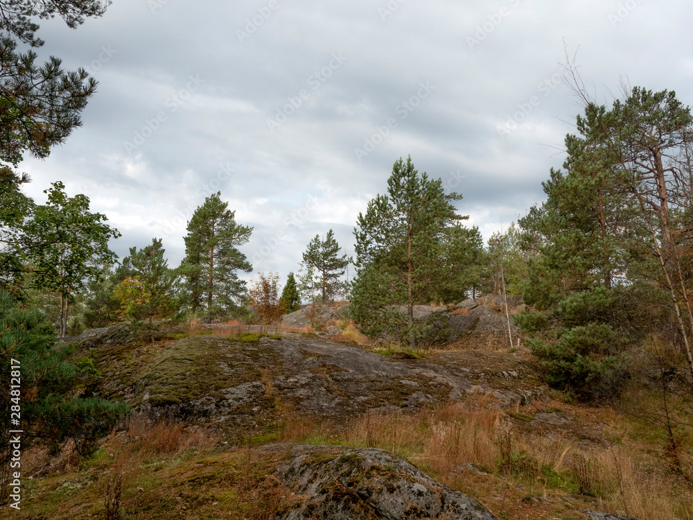 Scandinavian landscape. Trees grow in a rocky environment. Stony trail. Windy cloudy skies.