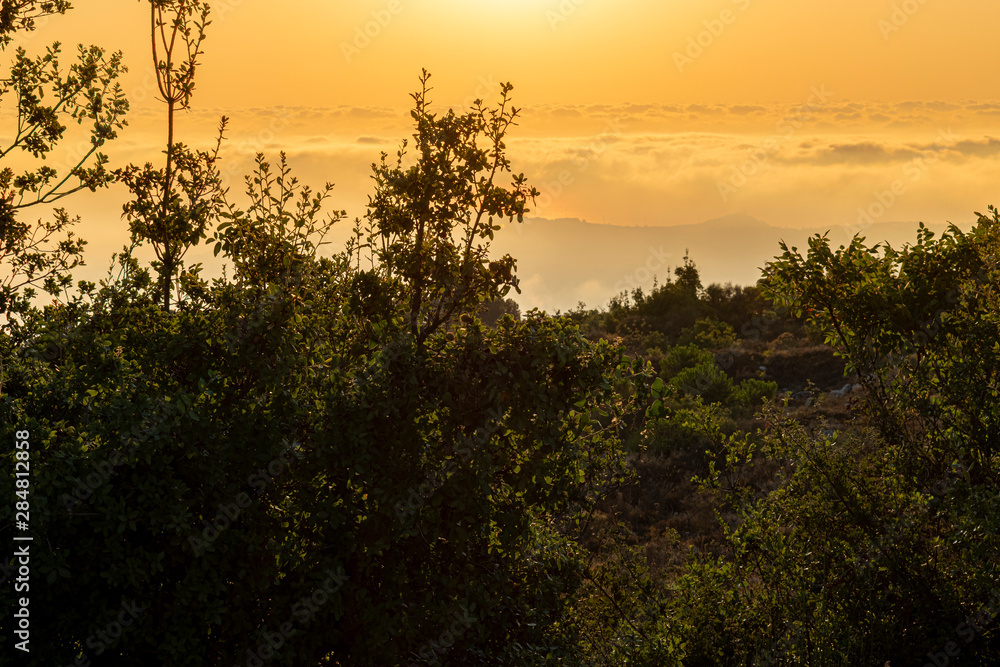 Beautiful colorful sunset over the mountain range and pine tree forest. Nature landscape. fogy sky with some orange reflections. Beautiful colorful sunset over the mountain range and pine tree forest. Nature landscape. fogy sky with some orange reflections.