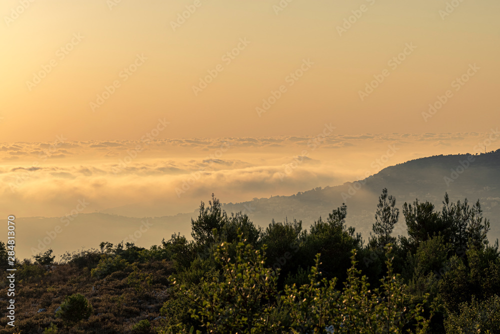 Beautiful colorful sunset over the mountain range and pine tree forest. Nature landscape. fogy sky with some orange reflections.