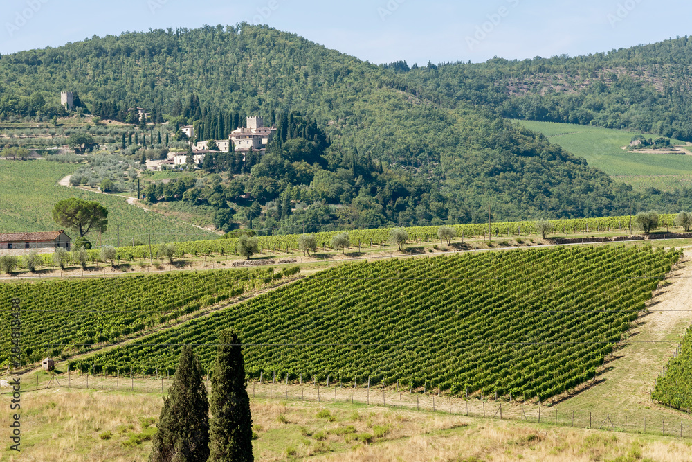 Typical landscape of Chianti classico in the municipality of Greve, Tuscany, Italy