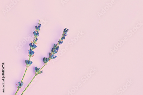 bouquet of violet lilac purple lavender flowers arranged on table background. Top view  flat lay mock up  copy space. Minimal background concept. Dry flower floral composition isolated. Spa skin care.