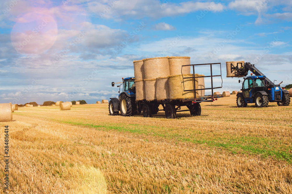 Obraz premium collection of straw bales at sunset