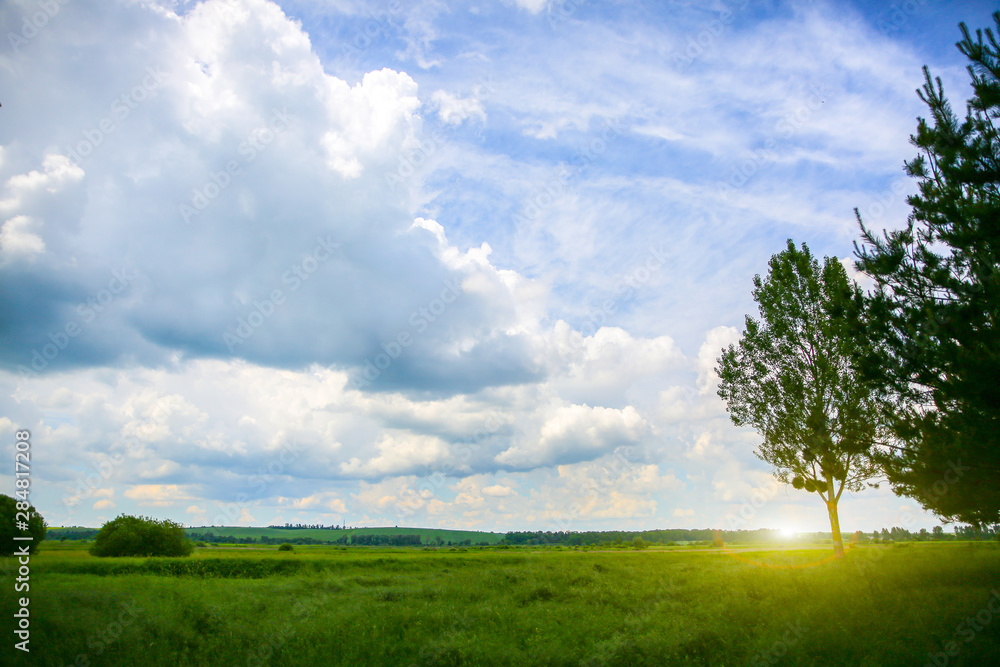 Beautiful landscape. Clouds in the sky and a tree on the field. Amazing wallpaper with nature. Beautiful landscape. Clouds in the sky and a tree on the field. Amazing wallpaper with nature.