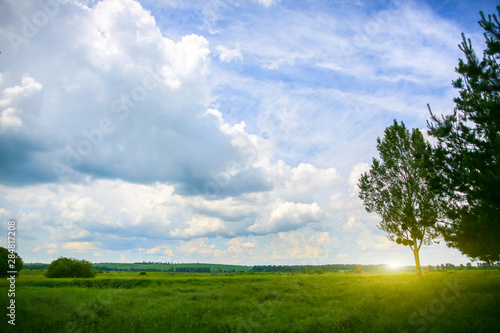 Beautiful landscape. Clouds in the sky and a tree on the field. Amazing wallpaper with nature.