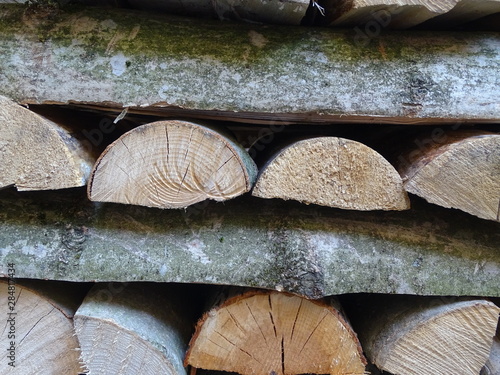 holzhaufen