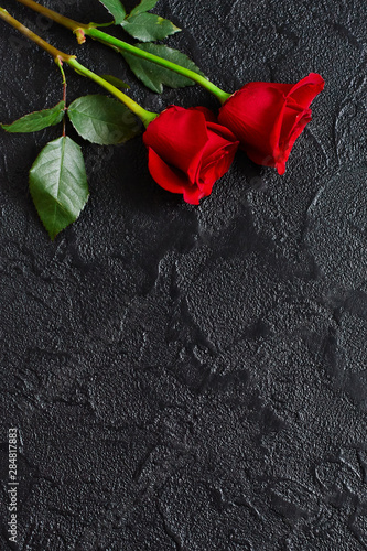 Two red roses on a dark, black stone background. Place for text