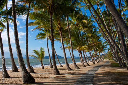 Sand, sea and coconut palms create a paradise setting at the popular tourist destination of Palm Cove, Queensland, Australia.