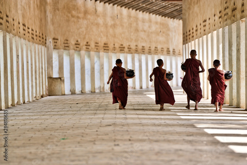 novice buddhist monks with red traditional robes holding red umbrellas walking in a white buddhist temple in myanmar