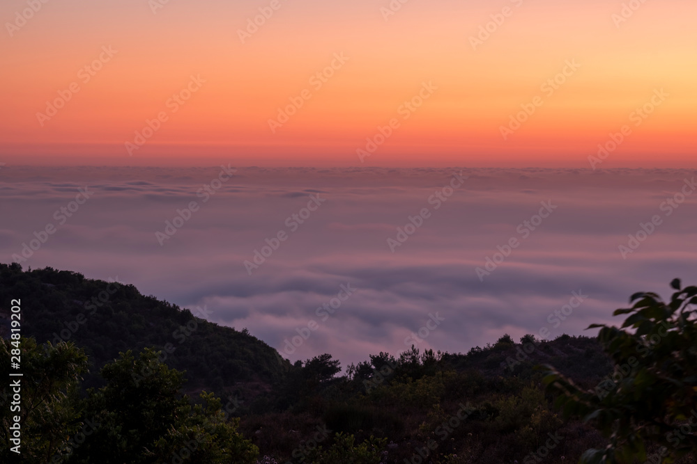 Beautiful colorful sunset over the mountain range and pine tree forest. Nature landscape. fogy sky with some orange reflections.