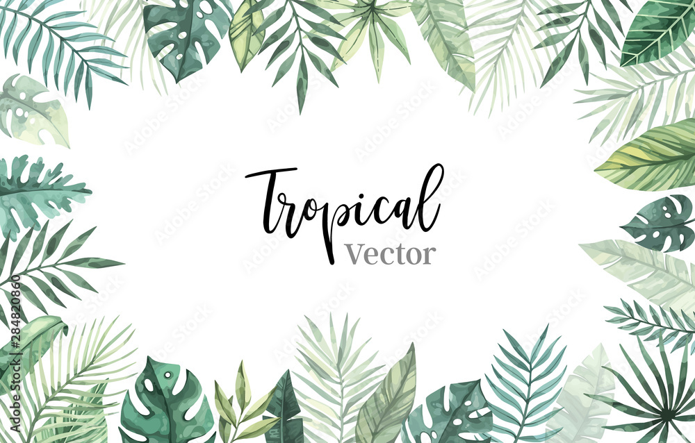 Watercolor Summer Leaves Collection Background Stock Illustration -  Download Image Now - Anniversary, Beauty, Bizarre - iStock