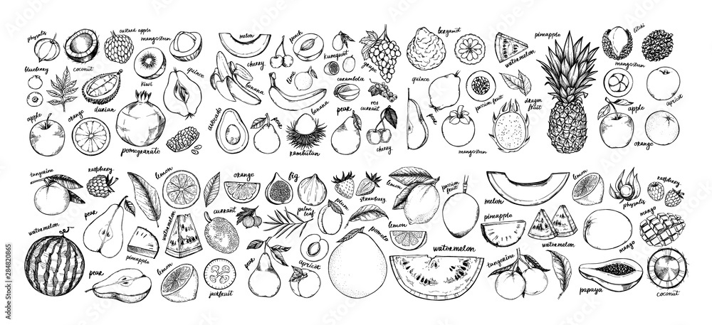 Hand drawn vector illustration - Collection of tropical and exotic Fruits. Healthy food elements. Apple, orange, papaya, coconut, mango, pear etc. Perfect for menu, packing, advertising, cooking book.