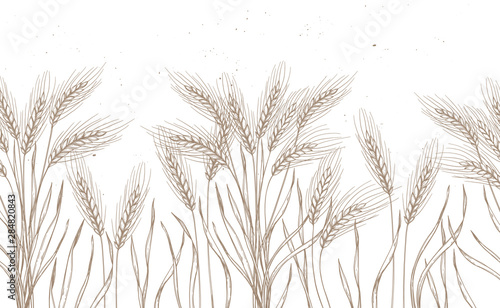Seamless pattern. Hand drawn vector illustration - Wheat. Rustic background (branches and stalks of cereals). Design elements in engraving style. Perfect for advertising, prints, packing