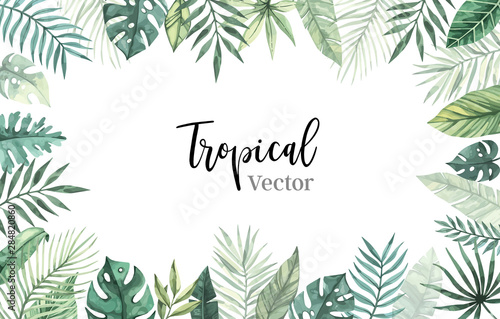 Watercolor vector illustration. Summer tropical frame with banana leaves, monstera and palm leaves. Perfect for wedding invitations, prints, postcards, posters