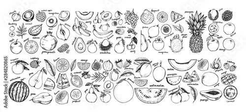 Hand drawn vector illustration - Collection of tropical and exotic Fruits. Healthy food elements. Apple, orange, papaya, coconut, mango, pear etc. Perfect for menu, packing, advertising, cooking book.