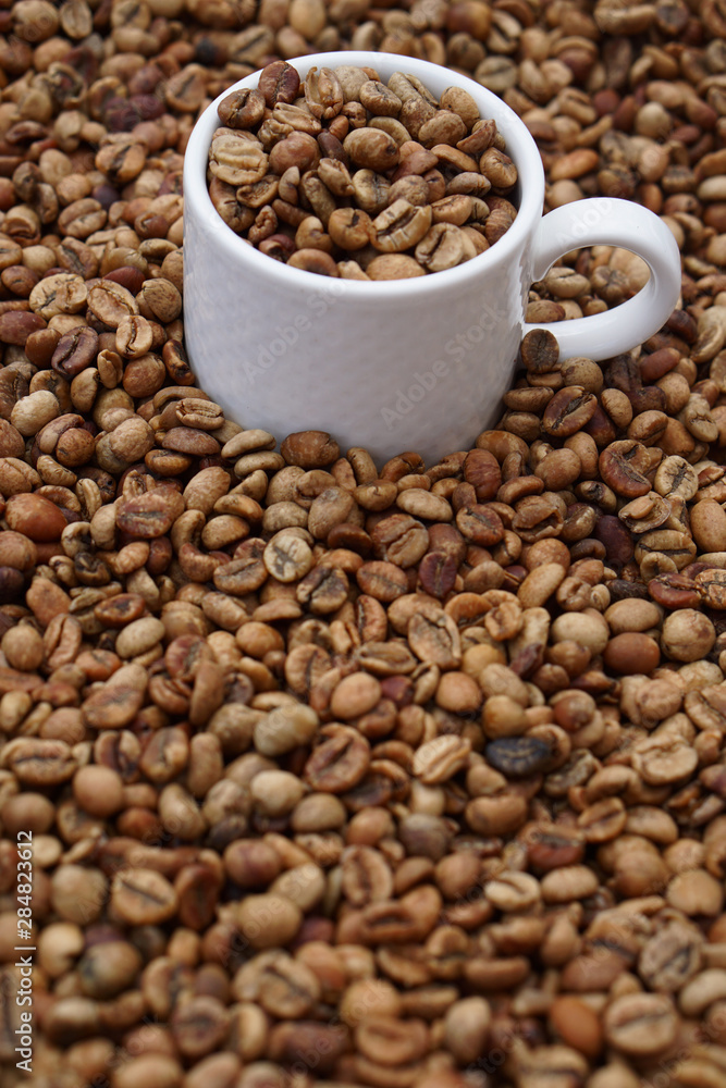 Fototapeta premium medium roasted coffee beans with white porcelain cup