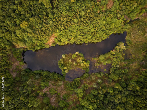 Forest with lake as environmental protection concept photo