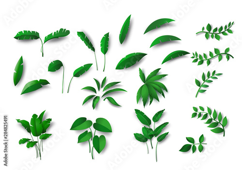 collection various of green Tropical leaves concept, isolated  elements on  white background