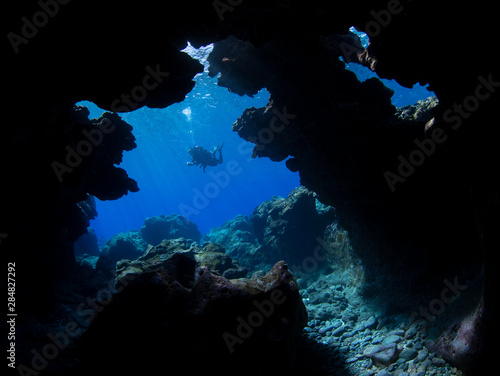 Marine life, Liuqiu island, Taiwan photo