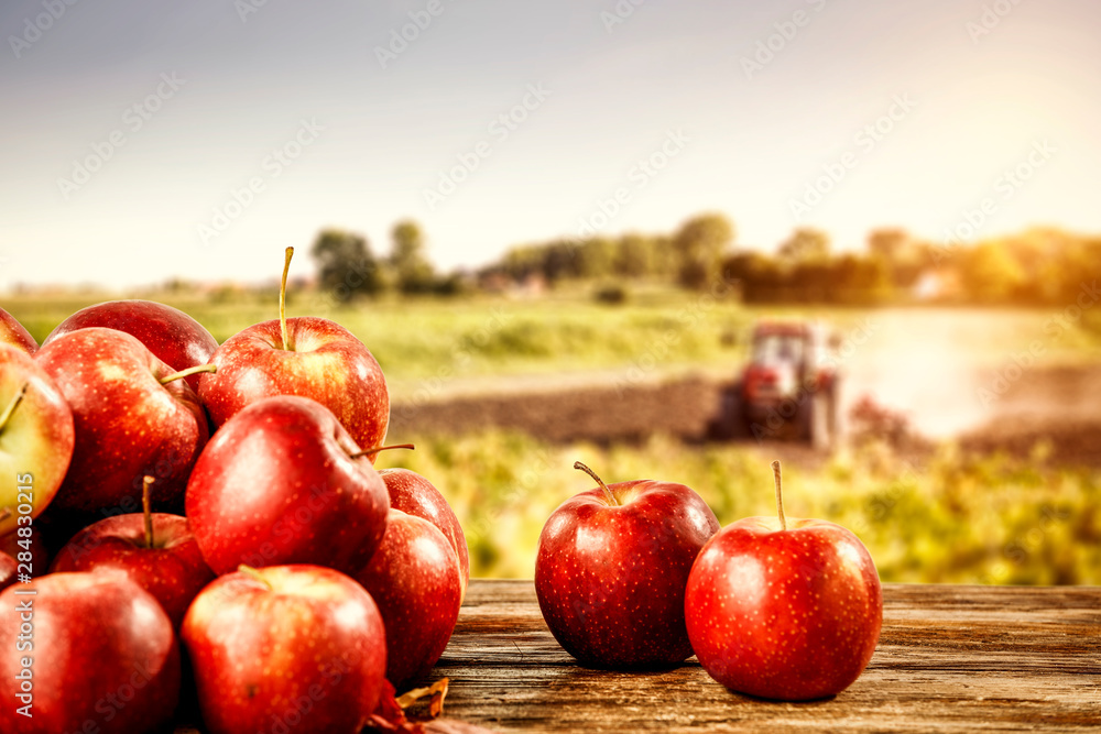 Fresh apples and autumn time  - obrazy, fototapety, plakaty 