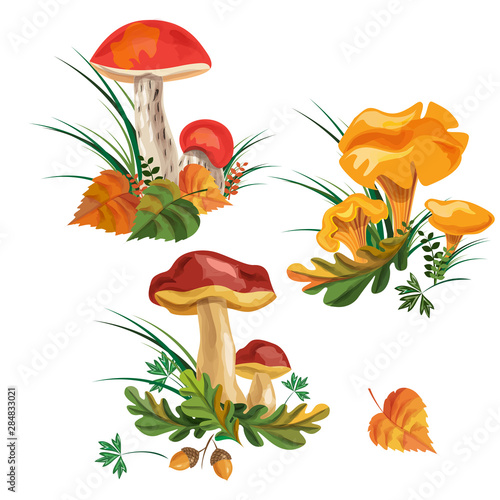 forest mushrooms in the grass. vector watercolor. EPS 10.