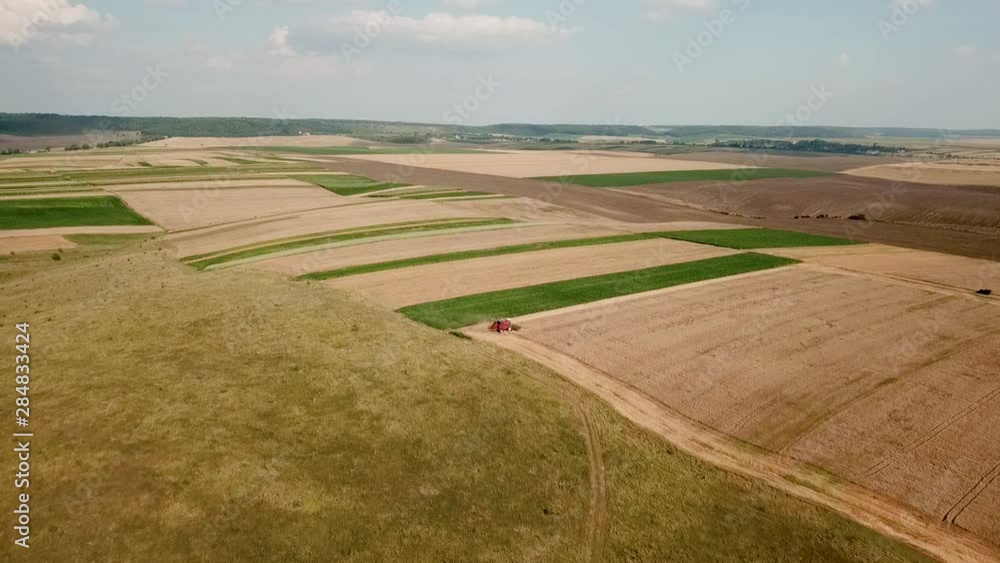 Aerial view of modern red combine harvesting wheat on the field Aerial view of modern red combine harvesting wheat on the field