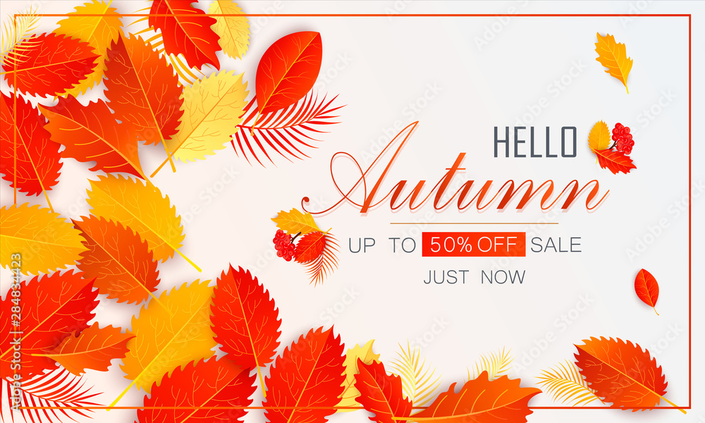 Autumn sale background layout decorate with leaves for shopping sale or promo poster and frame leaflet or web banner.Vector illustration template. Vector illustration EPS 10