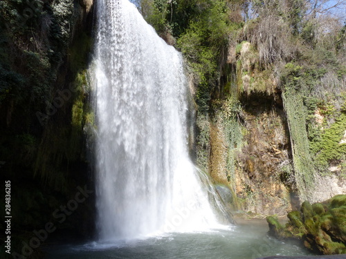 Cascada en el bosque