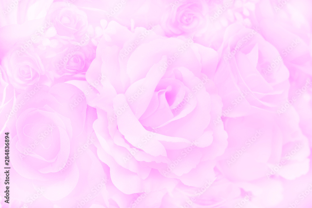 Blurred of Rose flowers blooming. in the pastel color style for background. Blurred of Rose flowers blooming. in the pastel color style for background.