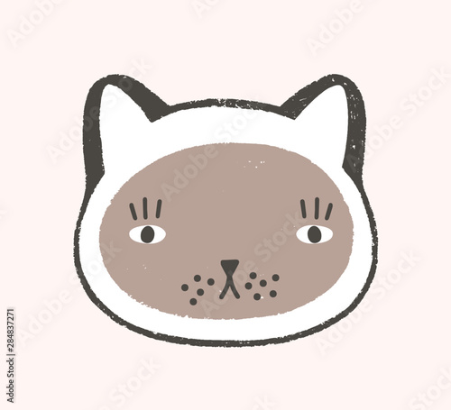Adorable face of cat
