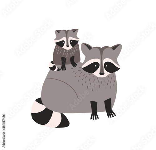 Cute amusing raccoon with cub isolated on white background