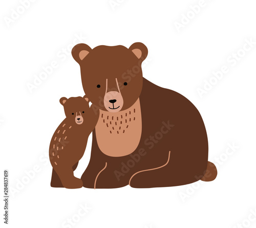 Brown bear and cub isolated on white background