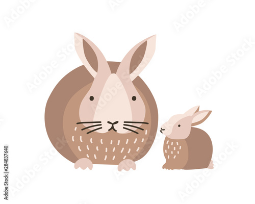 Bunny or rabbit with baby isolated on white background