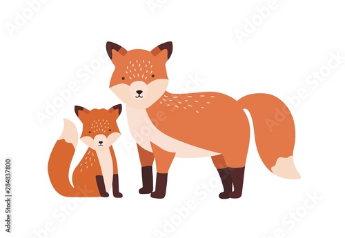 Fox with cub or pup isolated on white background