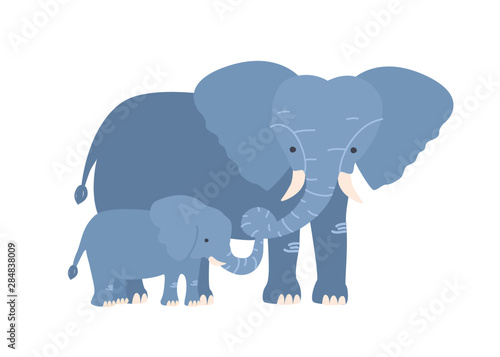 Elephant with calf isolated on white background