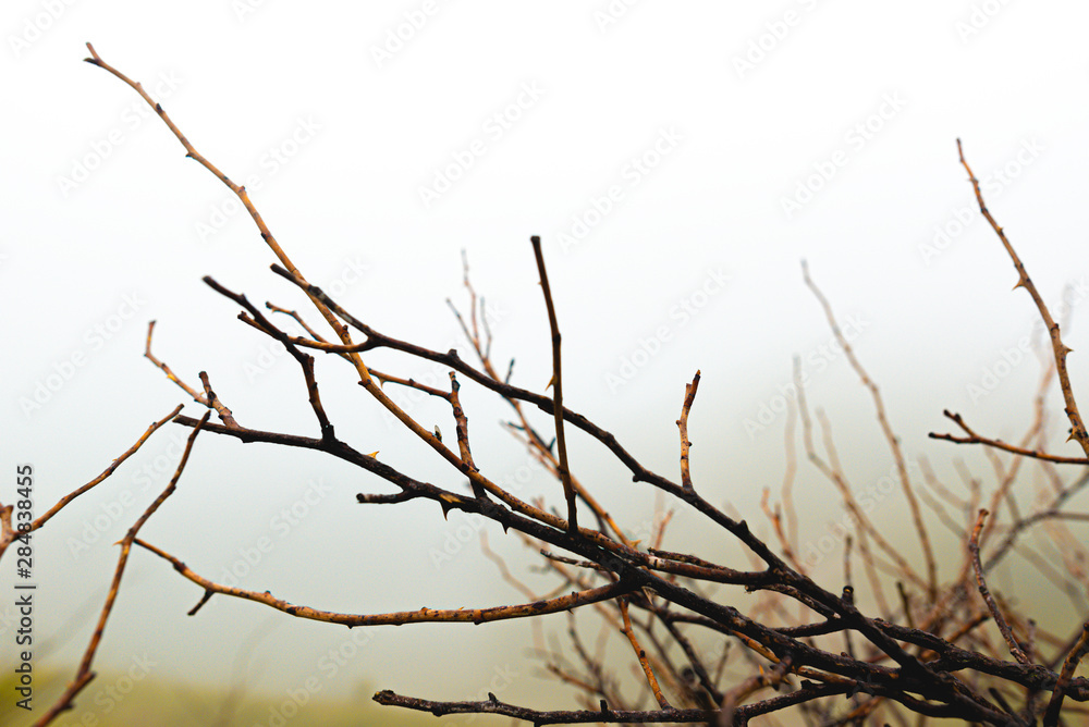 landscape landscape