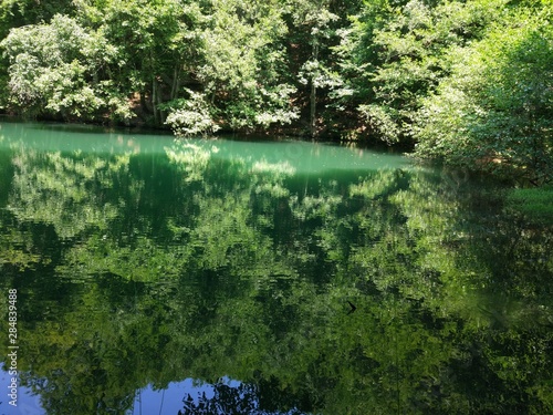 lake in deep forest